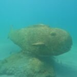 Disfrute del único Museo Submarino de Centroamérica